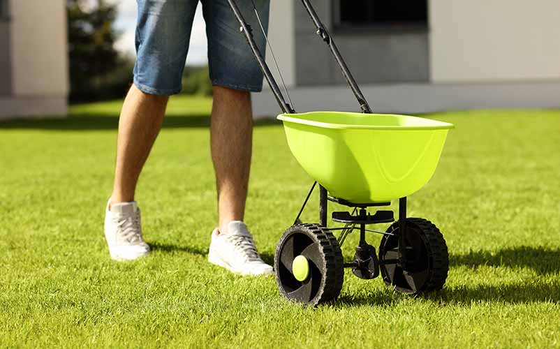 Fertilizing Your Lawn