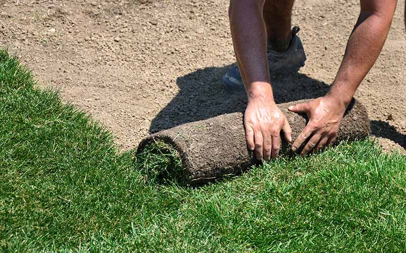 Installing Sod