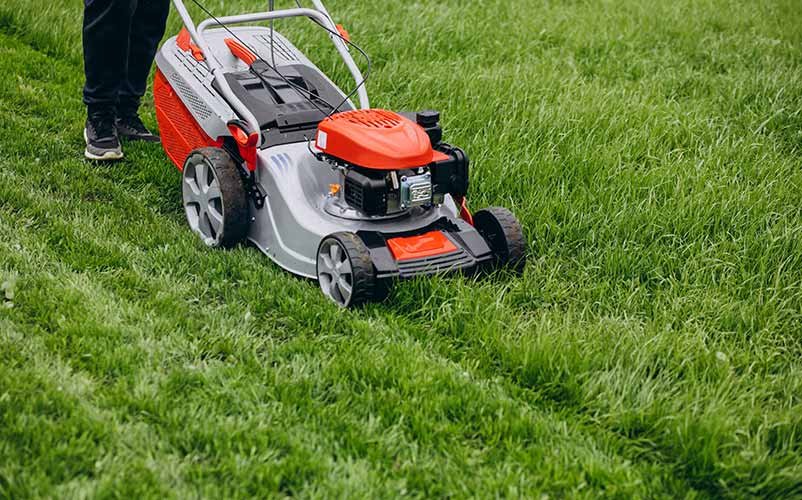 Mowing Turf Lawn