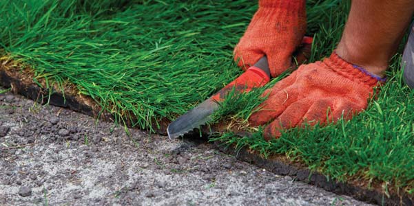 Turf Edging Knives