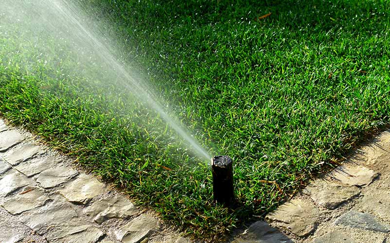 Watering Your Turf Grass